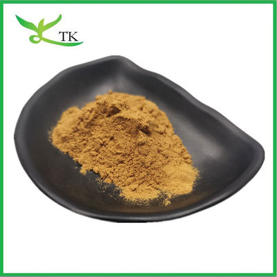 100٪ عصاره گیاهی طبیعی Salix Alba عصاره پوسته سفید Willow عصاره سالیسین 10٪ ~ 98٪