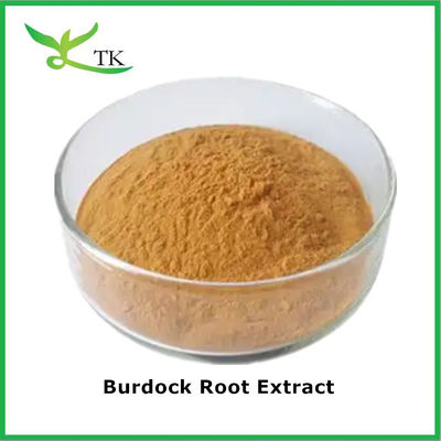 پودر گیاهی طبیعی آرکتیم لابا استخراج ریشه بوردوک پودر ریشه