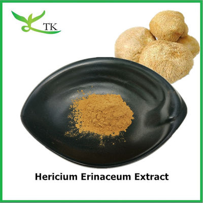 مواد غذایی خالص طبیعی Hericium Erinaceum Extract Hericium Erinaceum پودر