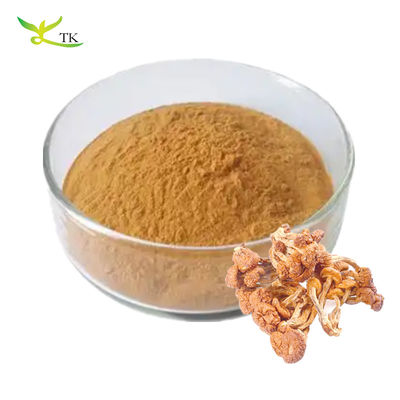 درجه غذایی خالص طبیعی Pholiota Nameko استخراج پلی ساکارید پودر