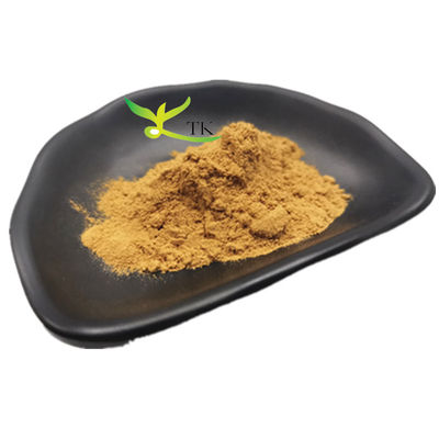 قیمت عمده فروش مواد غذایی گالنگال استخراج ریشه گالنگال استخراج پودر