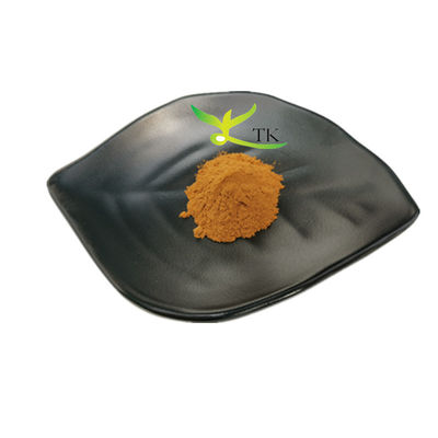 عصاره گیاهی طبیعی Vitex Agnus Castus عصاره گیاهی Vitex Agnus Castus قیمت پودر