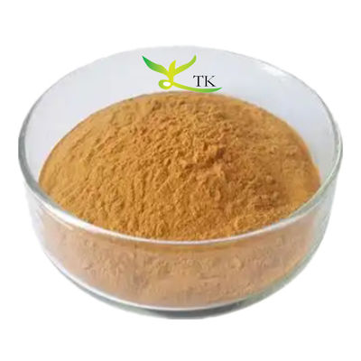 قیمت عمده فروشی پودر استخراج 100٪ طبیعی ورباسکم تاپسوس 10:1