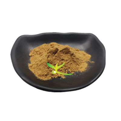 100٪ مواد غذایی طبیعی Salsola Collina استخراج Salsola Collina پودر قیمت