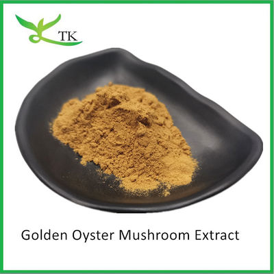 مکمل قارچ طبیعی Pleurotus Citrinopileatus پودر عصاره قارچ صدف طلایی