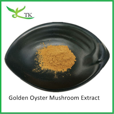 پلی ساکاریدهای قارچ طبیعی Pleurotus Citrinopileatus استخراج پودر Citrine Pleurotus استخراج