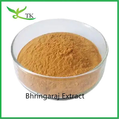 100% مراقبت از موهای طبیعی Bhringaraj برگ استخراج Eclipta Alba استخراج پودر پادشاه مو