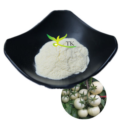 فروش داغ 100٪ پودر گوجه فرنگی سفید طبیعی Solanum Lycopersicum 10:1 20:1
