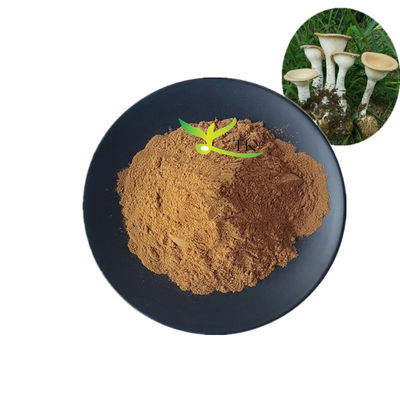 پودر عصاره قارچ شیری ببر Lignosus Rhinocerus طبیعی درجه غذایی با 10% تا 30% پلی ساکارید
