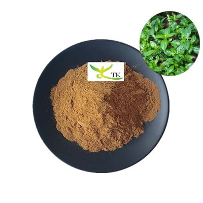 استخراج طبیعی TCM Kalmegh Andrographis Paniculata استخراج پودر