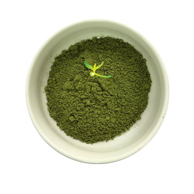 بهترین قیمت خالص طبیعی ارگانیک استخراج برگ مورینگا پودر استخراج مورینگا Oleifera