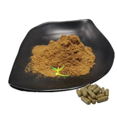پودر 100٪ Tribulus Terrestris طبیعی و عصاره ماکا برای مکمل های بهداشتی