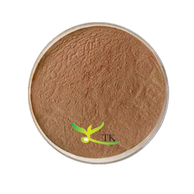 تامین کارخانه عصاره گل کاملیا ژاپنی طبیعی پودر عصاره کاملیا