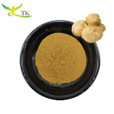 100٪ عصاره قارچ طبیعی پودر Hericium Erinaceus Mycelium Extract به صورت عمده