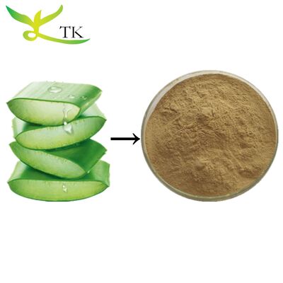 Wholesale Price 100% Natural Aloe Vera Extract Powder Aloevera Extract