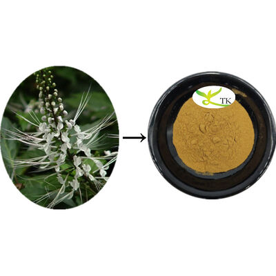 عصاره طبیعی ارتو سیفون آریستاتوس، پودر عصاره برگ ارتو سیفون، پاک کننده سنگ