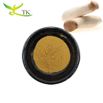 مواد غذایی درجه طبیعی King Oyster Mushroom Extract پودر پلی ساکارید 10% 30%