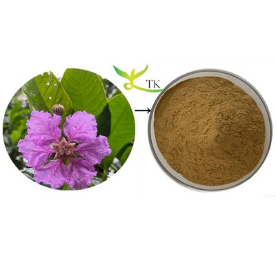 عصاره گیاهی طبیعی Lagerstroemia Speciosa برگهای برگ بانابا عصاره بانابا عصاره اسید کوروزولیک پودر