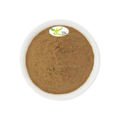 Wholesale Price 100% Natural Pygeum Africanum Extract 2.5–5% Phytosterols