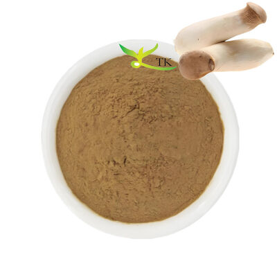 مکمل قارچ طبیعی King Trumpet Mushroom Extract پودر پلی ساکارید 20٪