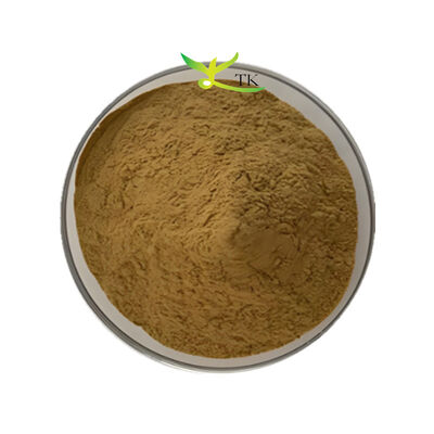 عرضه کارخانه Bacopa Monnieri استخراج 40٪ Bacopasides پودر Brahmi استخراج پودر