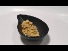 پودر استخراج گیاهی طبیعی پودر استخراج قارچ