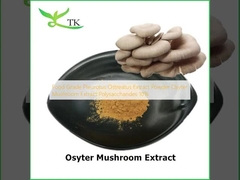 مواد غذایی Pleurotus Ostreatus استخراج پودر Osyter قارچ استخراج پلی ساکارید 10٪