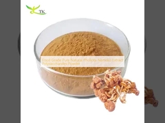 درجه غذایی خالص طبیعی Pholiota Nameko استخراج پلی ساکارید پودر