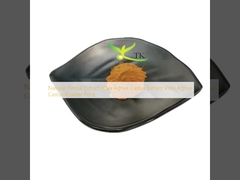 عصاره گیاهی طبیعی Vitex Agnus Castus عصاره گیاهی Vitex Agnus Castus قیمت پودر