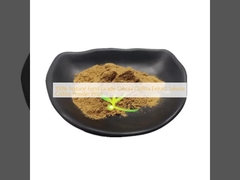 100٪ مواد غذایی طبیعی Salsola Collina استخراج Salsola Collina پودر قیمت