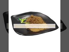 100٪ عصاره طبیعی میوه Schisandrae پودر عصاره Schisandra Chinensis قیمت