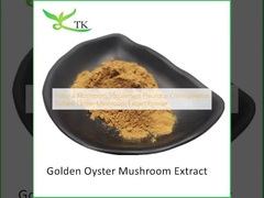 مکمل قارچ طبیعی Pleurotus Citrinopileatus پودر عصاره قارچ صدف طلایی