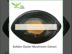 پلی ساکاریدهای قارچ طبیعی Pleurotus Citrinopileatus استخراج پودر Citrine Pleurotus استخراج