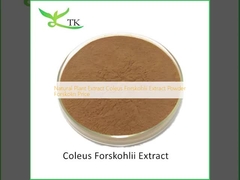 استخراج گیاهی طبیعی Coleus Forskohlii استخراج پودر Forskolin قیمت