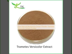 پودر استخراج قارچ طبیعی خالص Trametes Versicolor Extract Powder