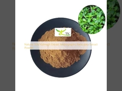استخراج طبیعی TCM Kalmegh Andrographis Paniculata استخراج پودر