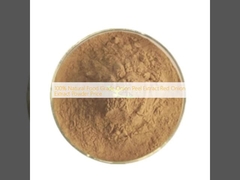 100٪ مواد غذایی طبیعی پیاز پوست استخراج پیاز قرمز استخراج پودر قیمت