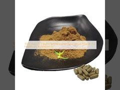 پودر 100٪ Tribulus Terrestris طبیعی و عصاره ماکا برای مکمل های بهداشتی