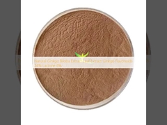 عصاره برگ جینکو بیلوبا طبیعی عصاره برگ جینکو فلاونوئیدها ۲۴٪ لاکتون ۶٪