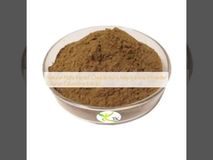 عصاره گیاهی طبیعی Chelidonium Majus Extract پودر Celandine Extract