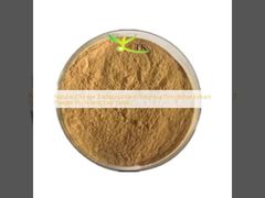 عصاره گیاهی سنتی طبیعی چینی Rhizoma Picrorhizae پودر Hu Huang Lian Extract