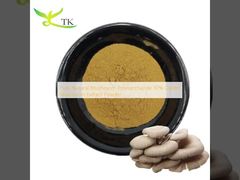 پودر عصاره قارچ صدفی با 30% پلی ساکارید قارچ خالص و طبیعی