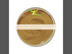 عصاره سفید خرمالوی با کیفیت بالا، عصاره طبیعی گیاهی، پودر، عصاره میوه/برگ خرمالو