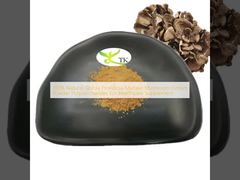 100٪ پودر عصاره قارچ گریفیولا فروندوسا مایتاکه طبیعی، پلی ساکاریدها برای مکمل مراقبت های بهداشتی