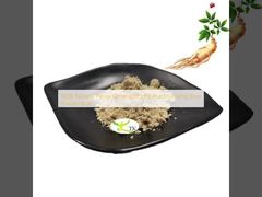 100٪ عصاره ریشه جینسینگ پاناکس طبیعی، پودر ریشه جینسینگ فله